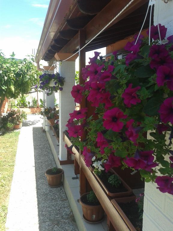 Adriana Saina Appartement